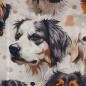 Preview: Baumwollstoff Motivdruck digital Hundeköpfe